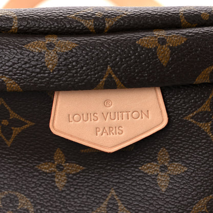 Louis Vuitton Monogram Bumbag 10 of 14