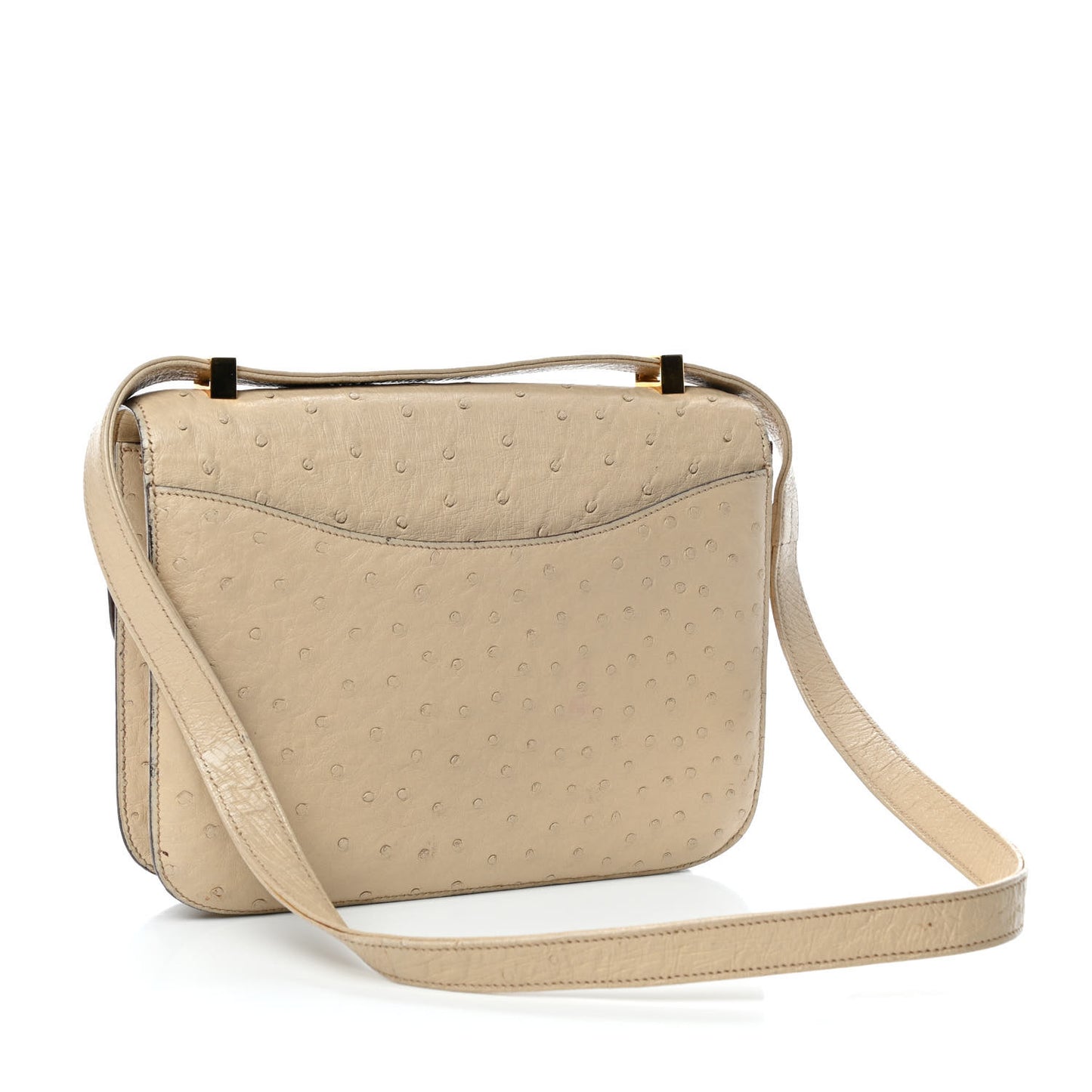 Ostrich Constance 24 Parchemin
