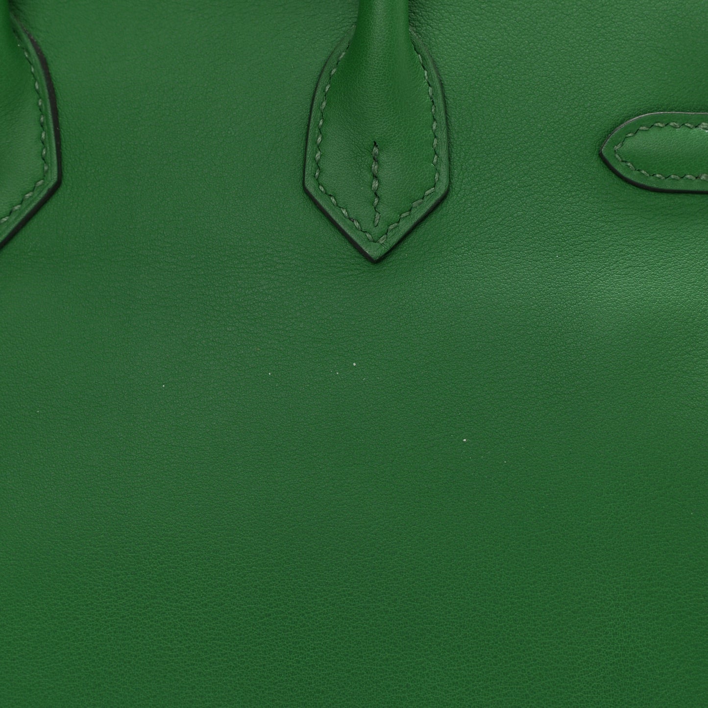 Swift Birkin 25 Cactus