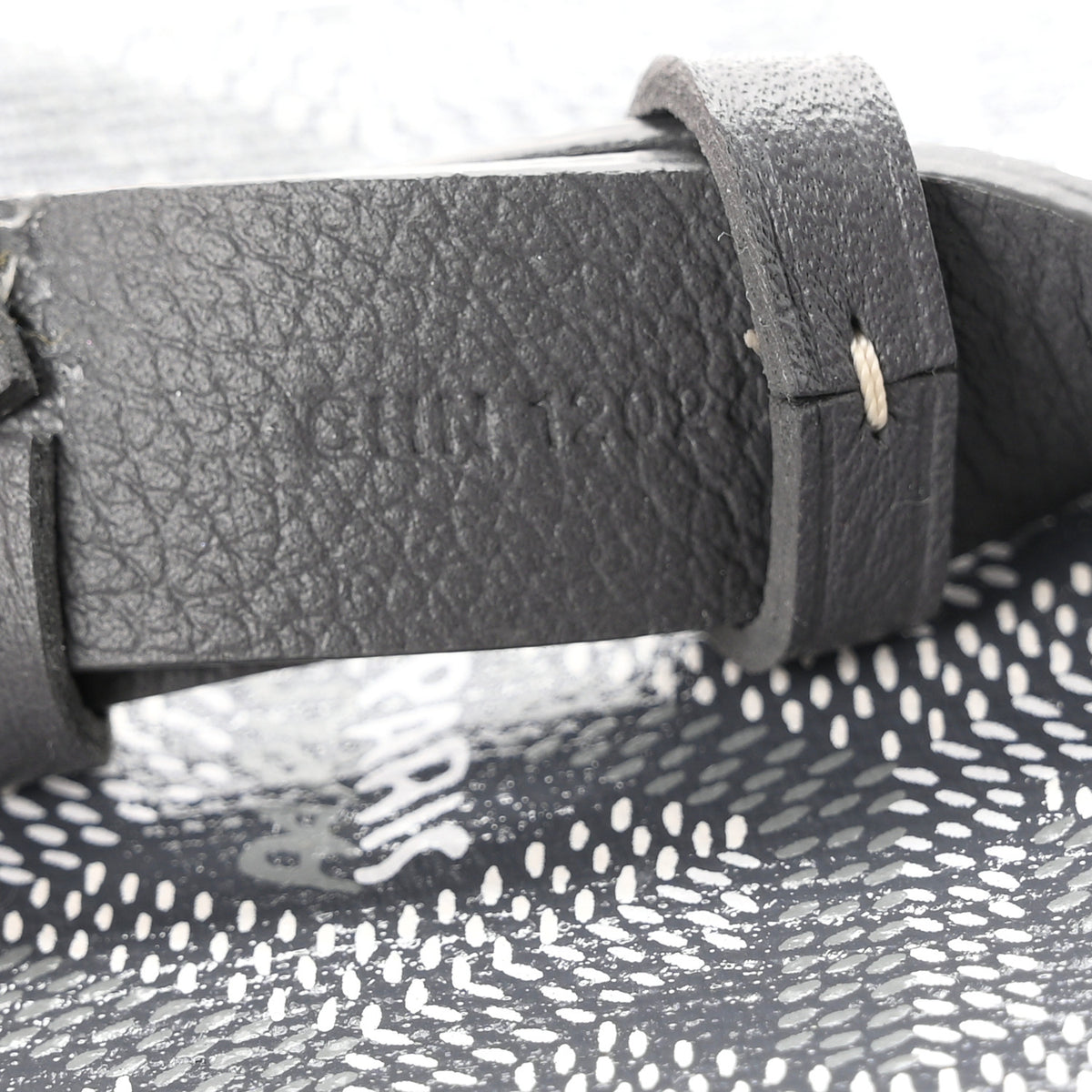 Goyard Goyardine Muse Nano Vanity Case Grey 7 of 10