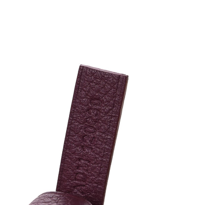 Goyard Goyardine Saint Louis PM Bordeaux 8 of 10