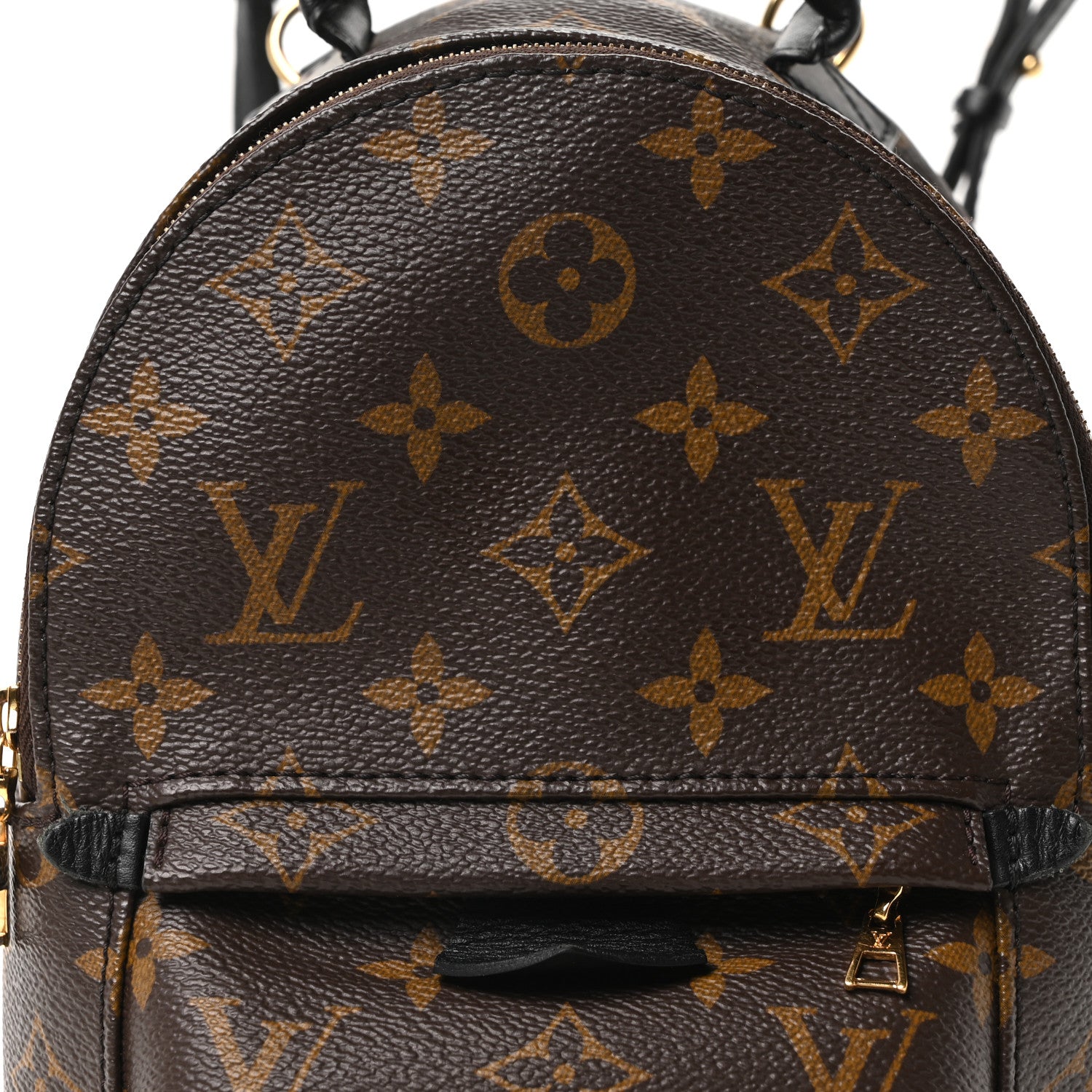 Louis Vuitton Monogram Palm Springs Backpack Mini 7 of 10