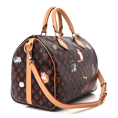 Louis Vuitton Catogram Speedy Bandouliere 30 Marron 3 of 14