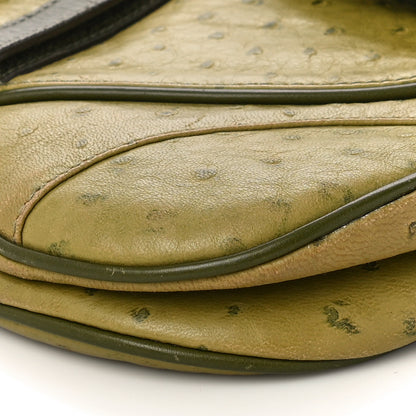 Christian Dior Ostrich Double Saddle Bag Green 10 of 11