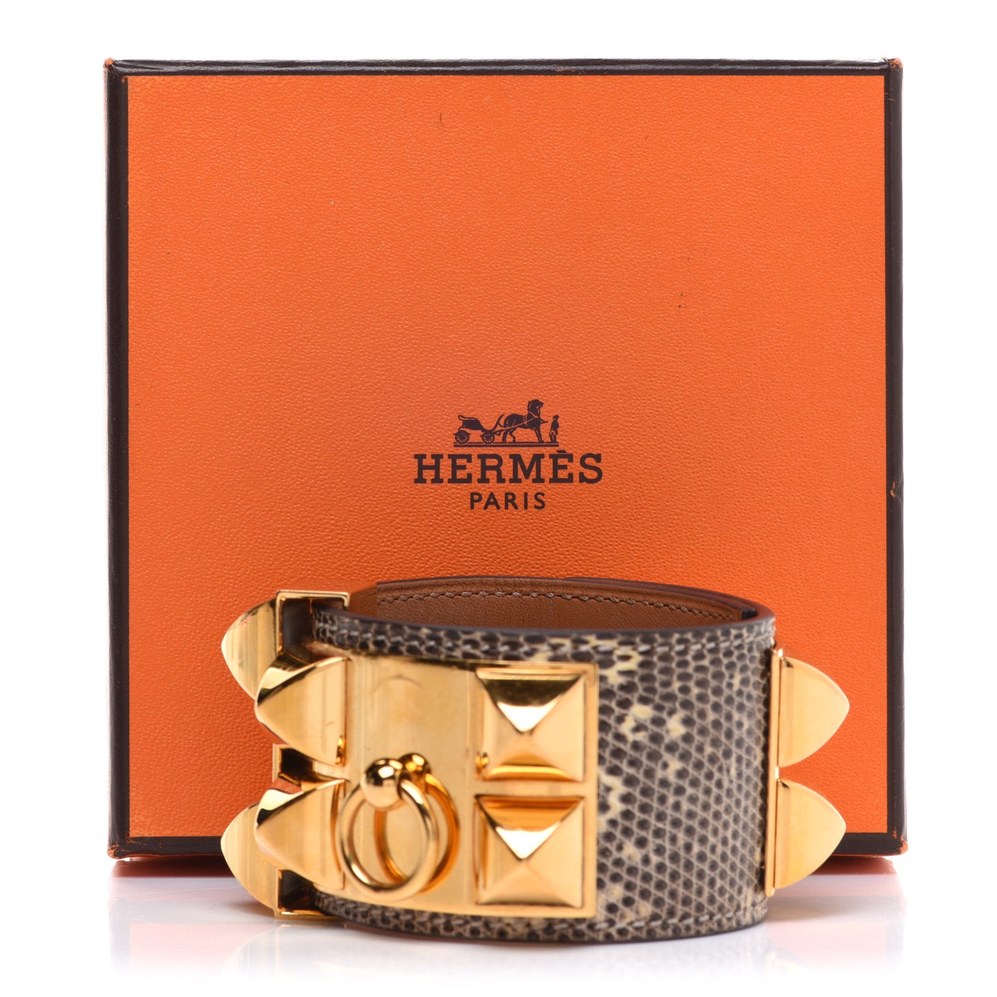 Lizard Collier De Chien CDC Bracelet S Ombre