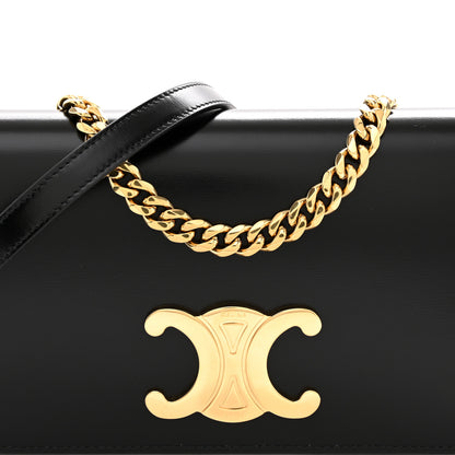 Celine Shiny Calfskin Triomphe Multipochette Black 7 of 9