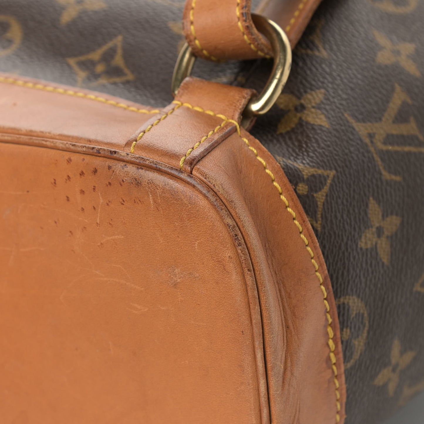 Monogram Montsouris GM Backpack