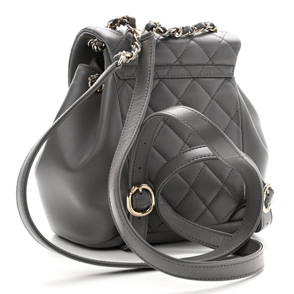 Chanel Lambskin Quilted Small Duma Drawstring Backpack Grey 2 of 10