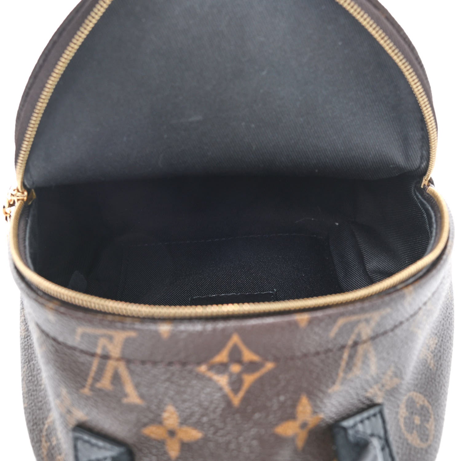 Louis Vuitton Monogram Palm Springs Backpack Mini 5 of 10