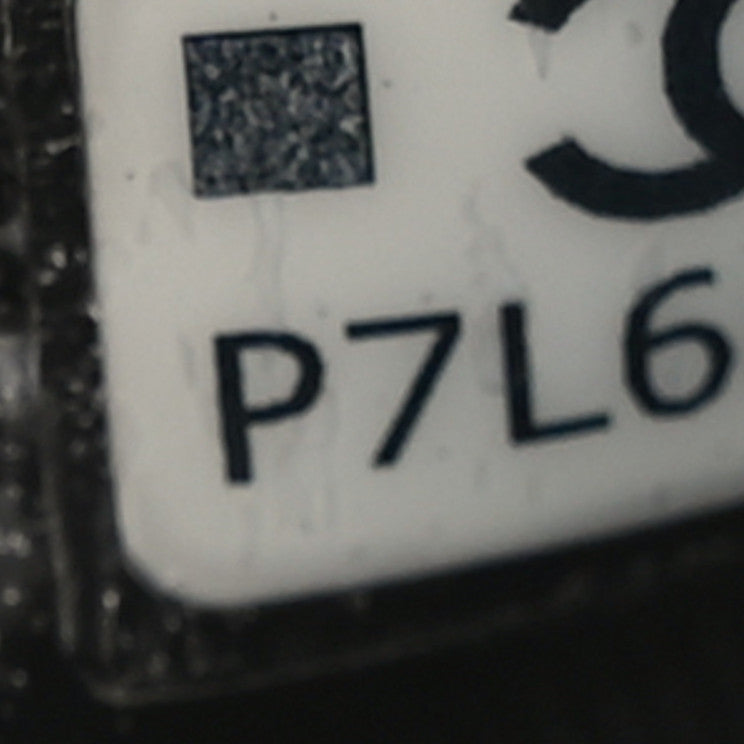 Shiny Crumbled Lambskin Quilted Round Small CC Hobo Black