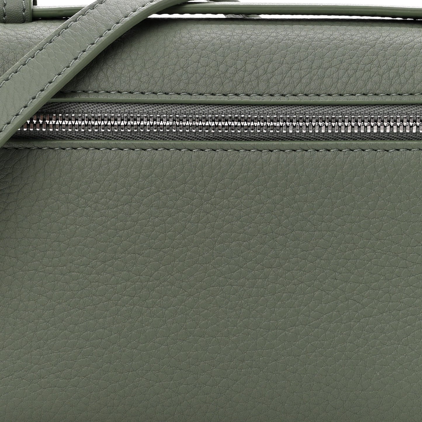 Grained Calfskin L19 Extra Pocket Pouch Sage Brush Leaves