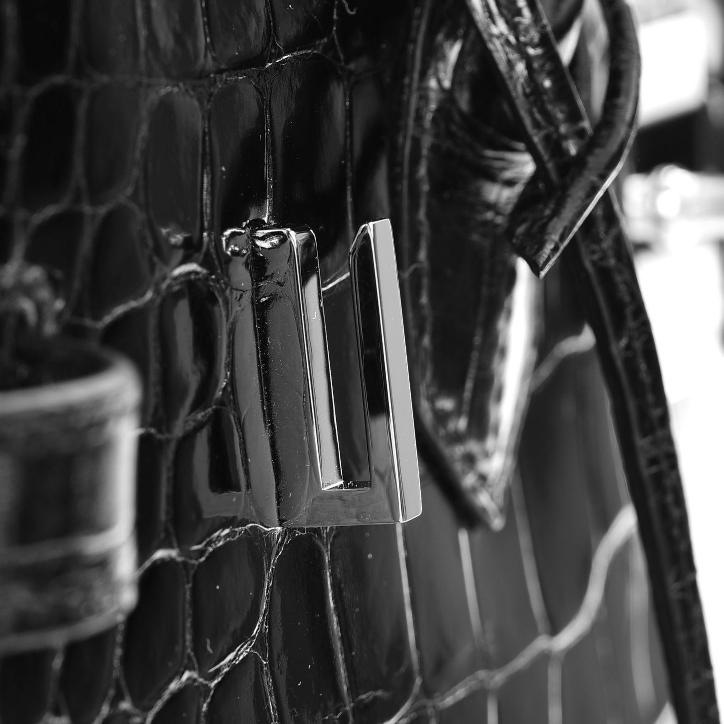 Shiny Porosus Crocodile Birkin 30 Black