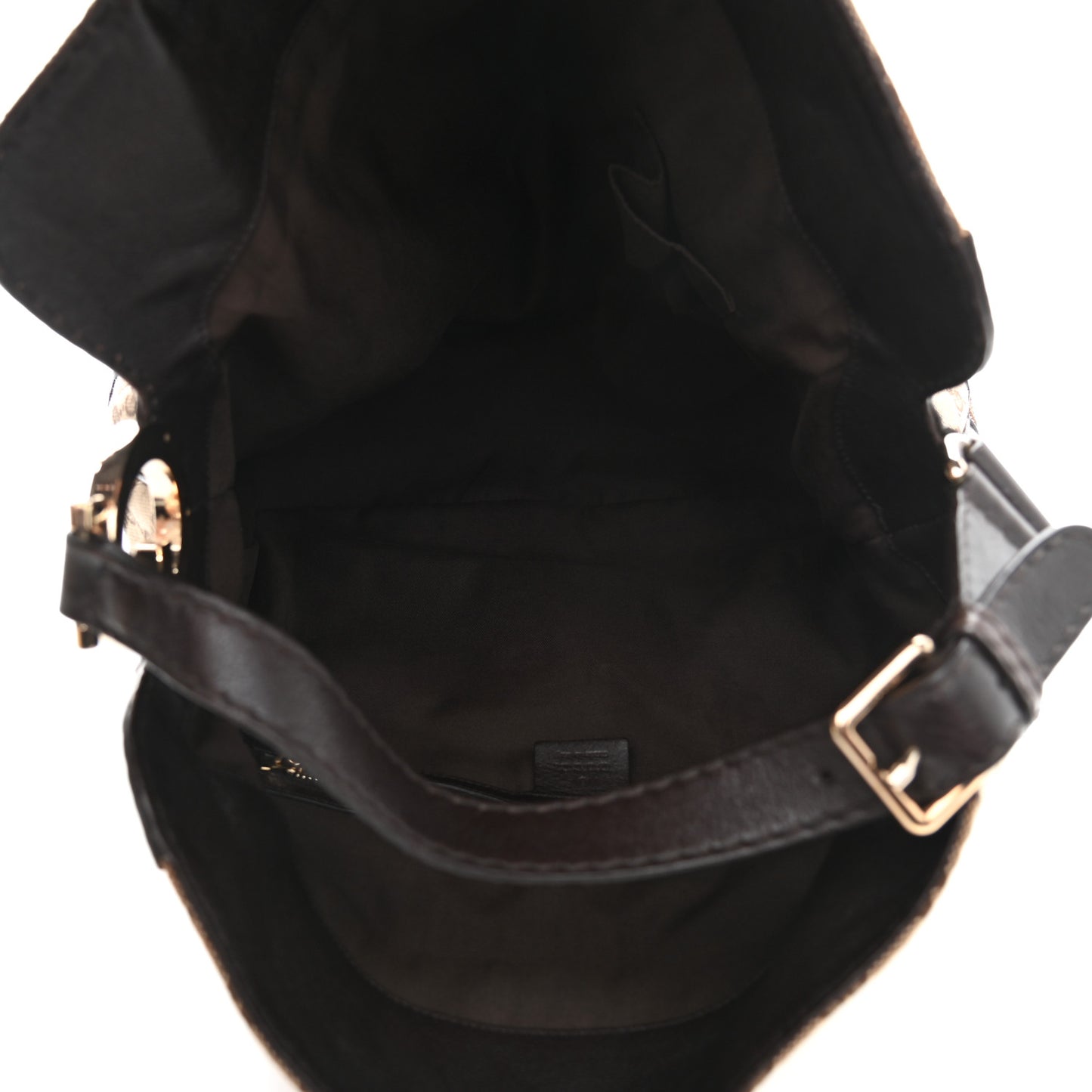 Monogram Charlotte Medium Hobo Brown