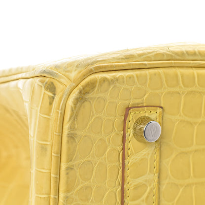Hermes Matte Porosus Crocodile Birkin 35 Mimosa 34 of 39
