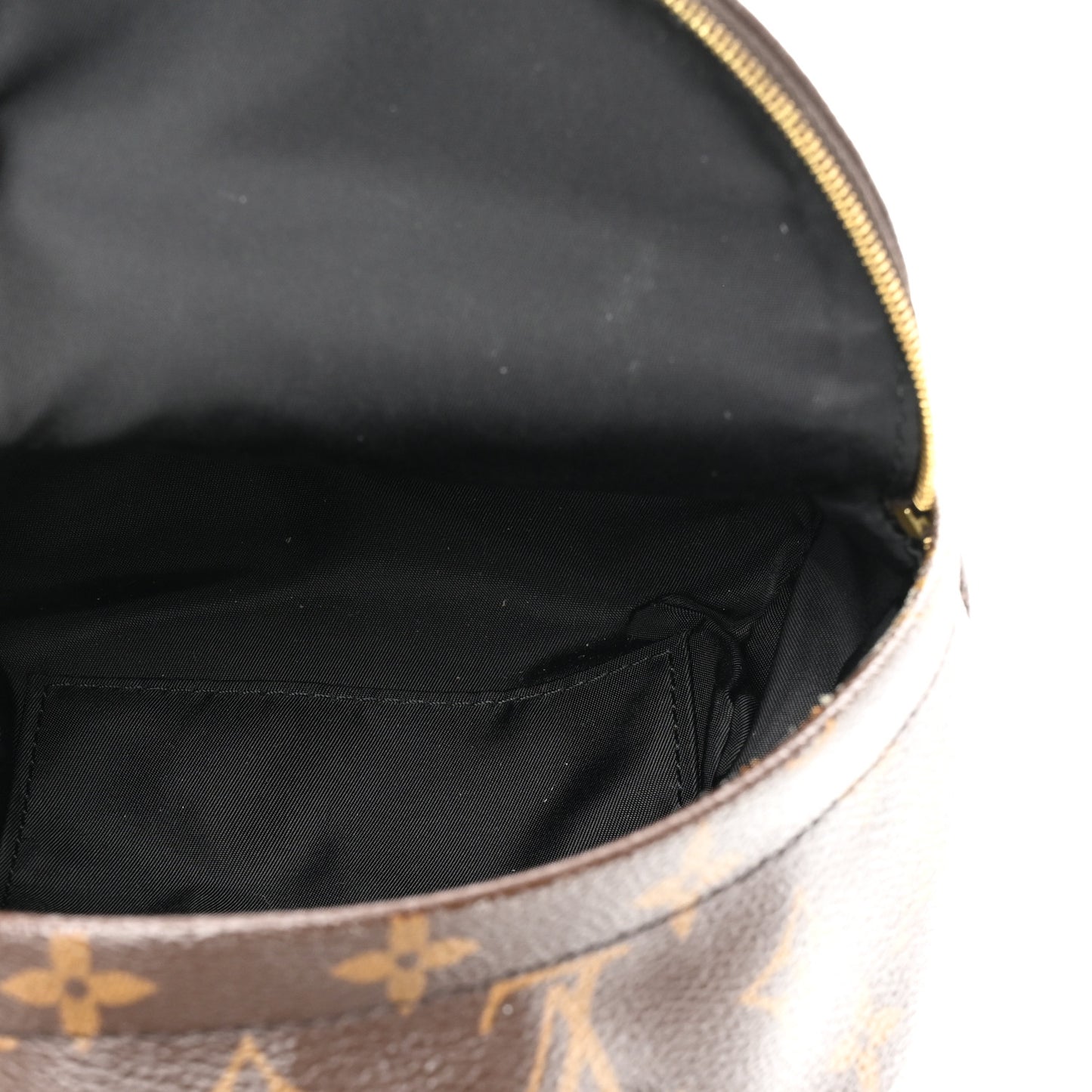 Monogram Palm Springs Backpack Mini