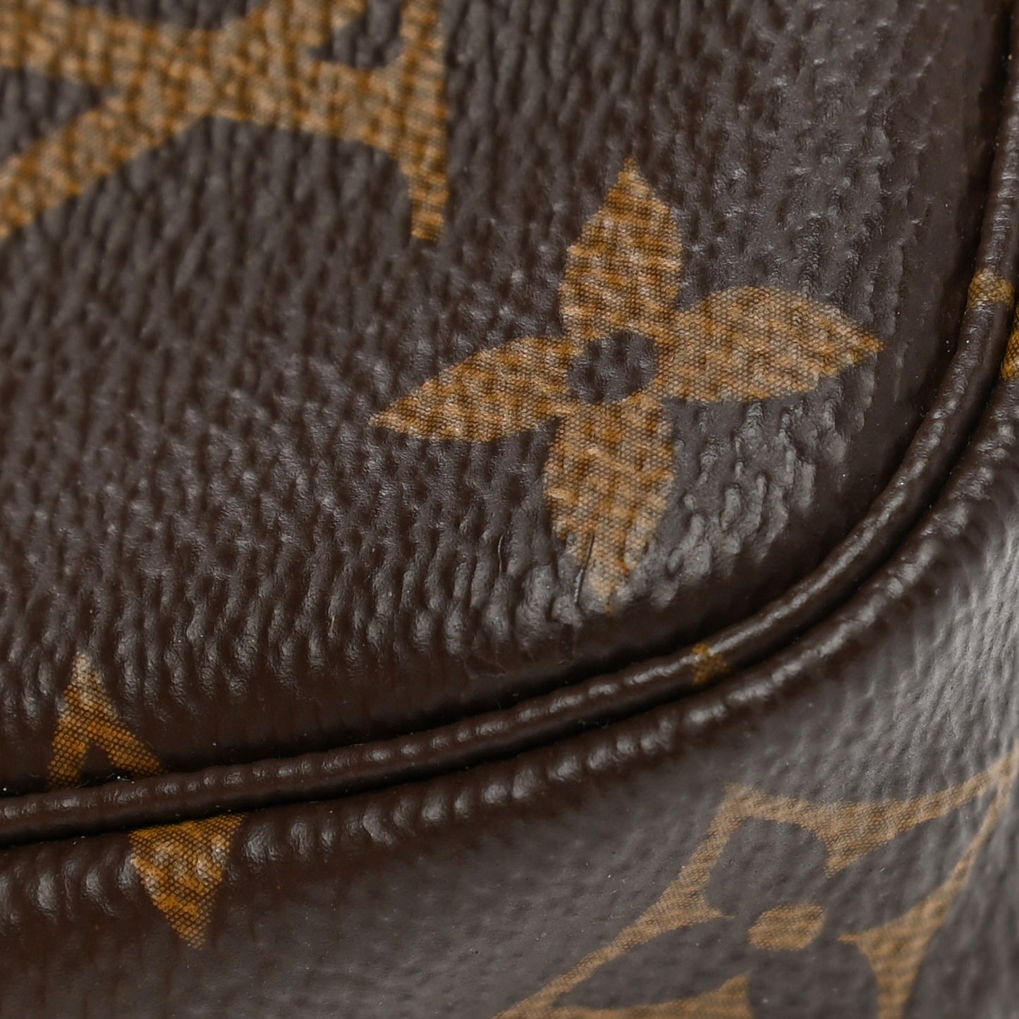 Monogram Mini Pochette Accessories