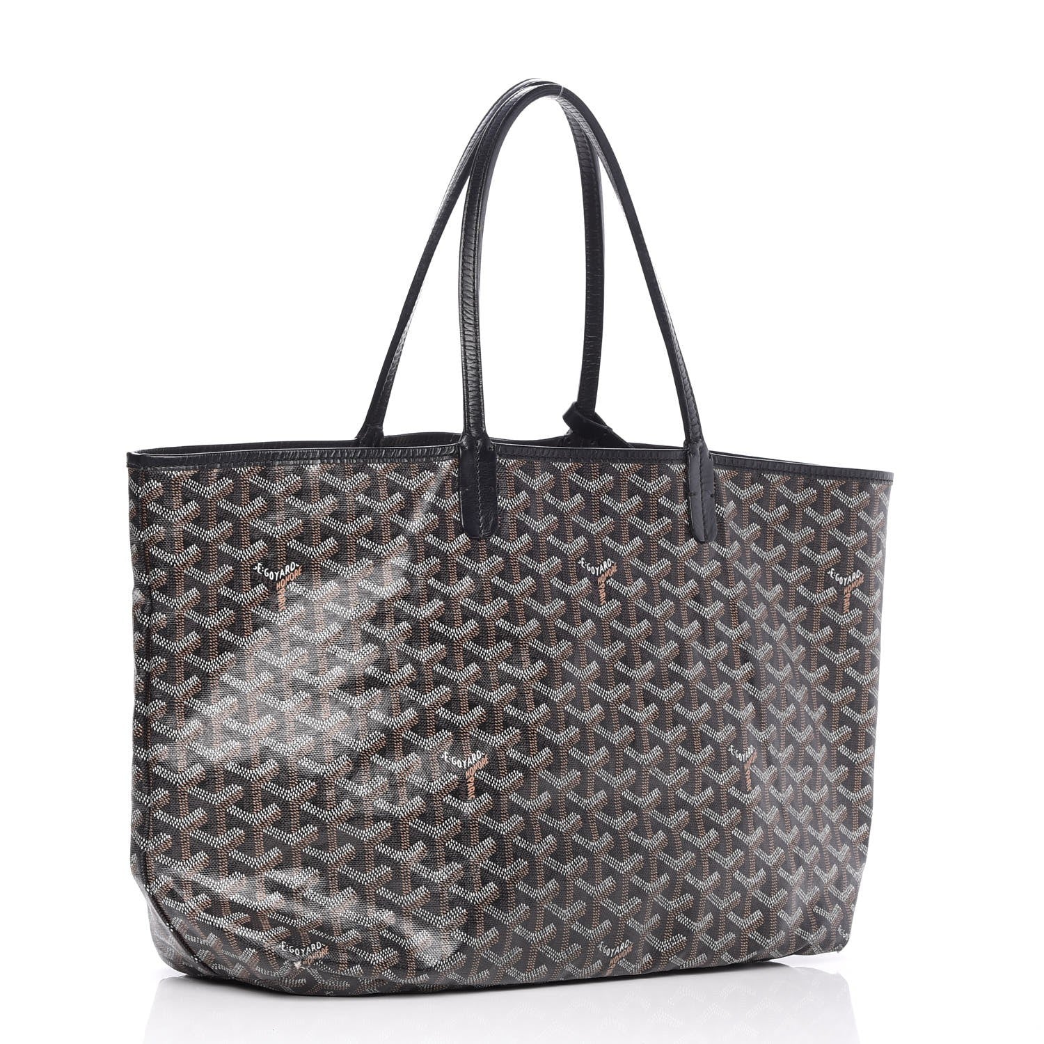 Goyard Goyardine Saint Louis PM Black 3 of 11