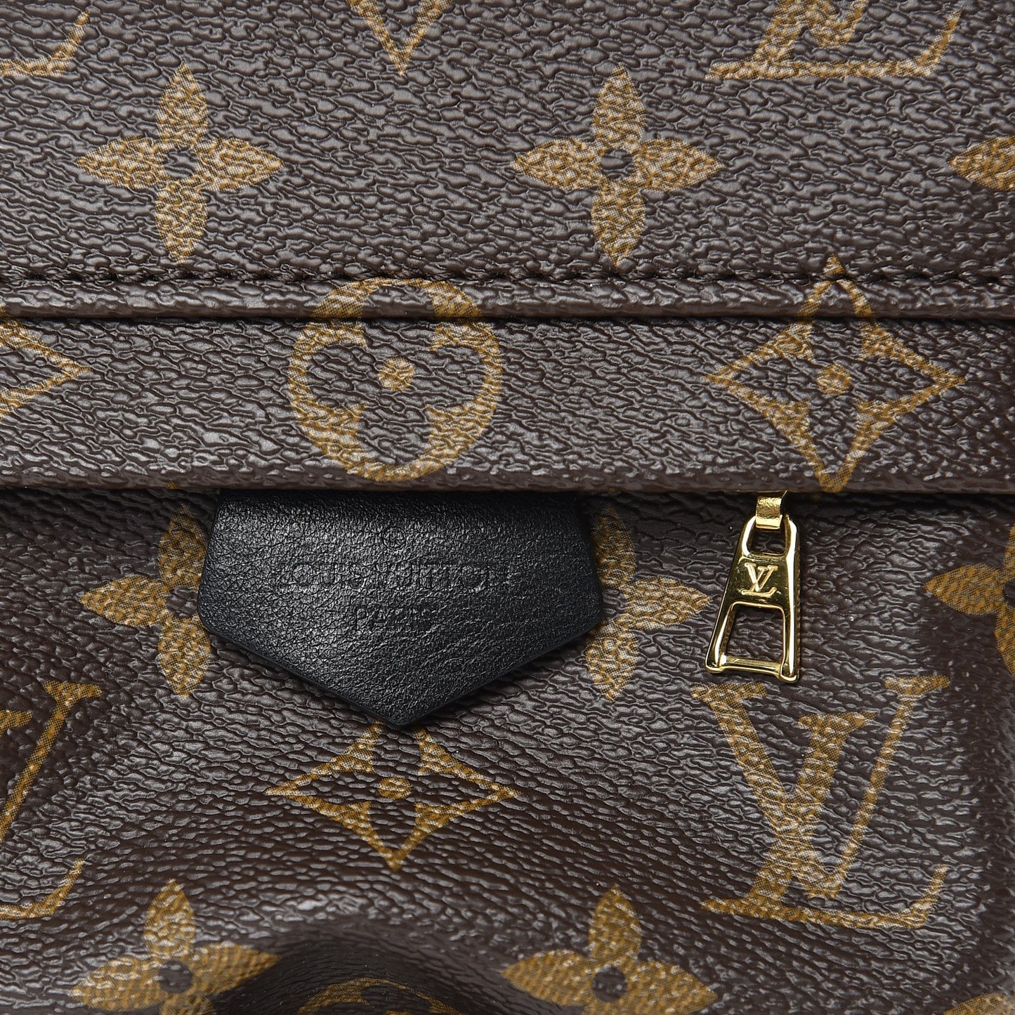 Monogram Palm Springs Backpack Mini