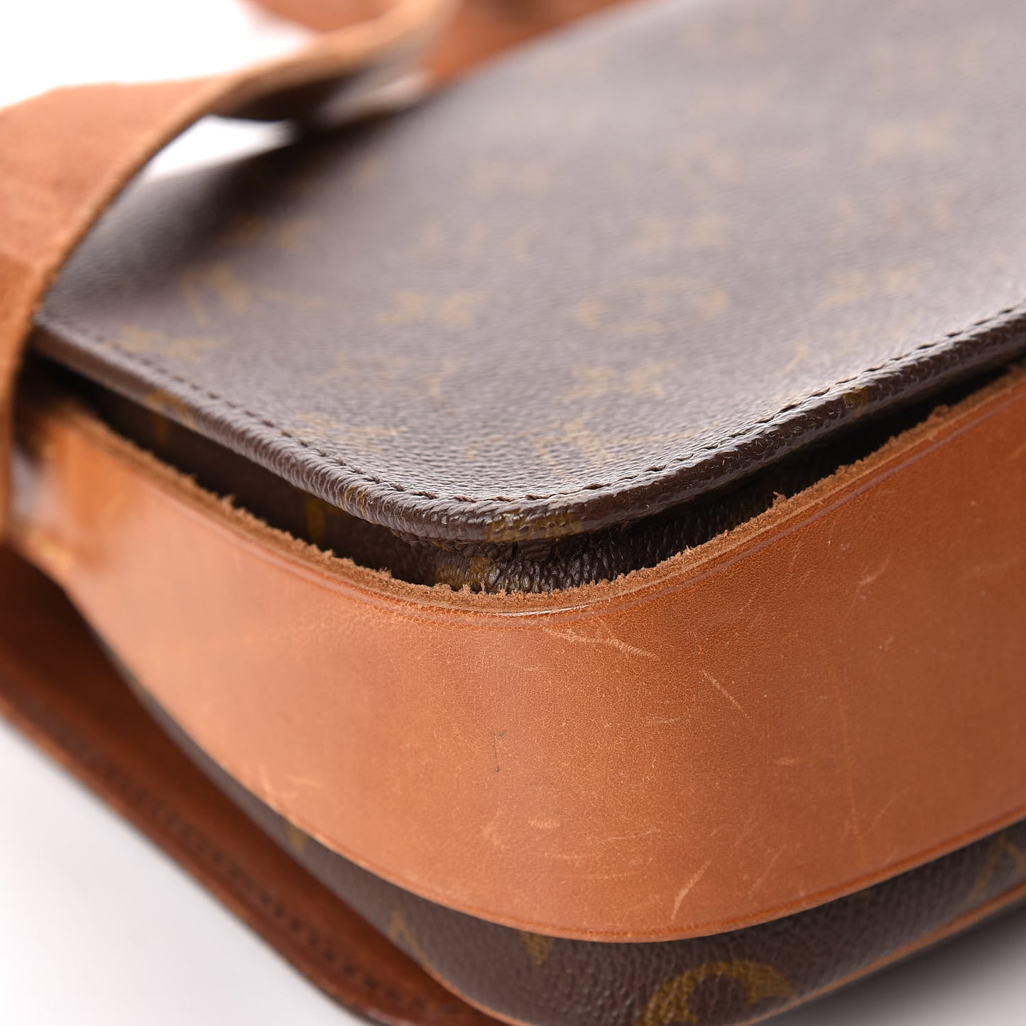 Monogram Cartouchiere 22