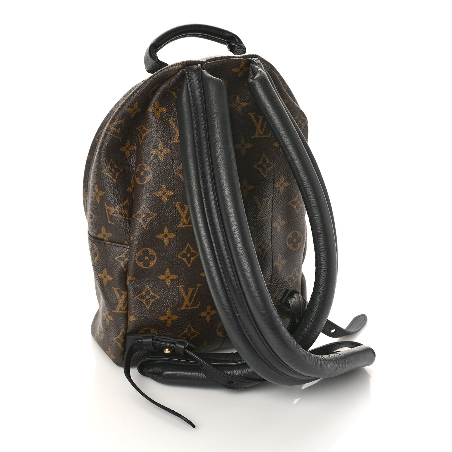 Monogram Palm Springs Backpack PM