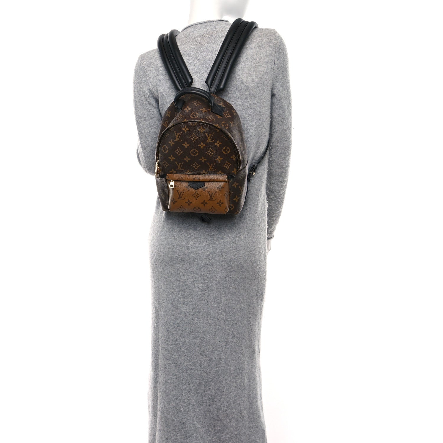 Louis Vuitton Reverse Monogram Palm Springs Backpack PM 2 of 8