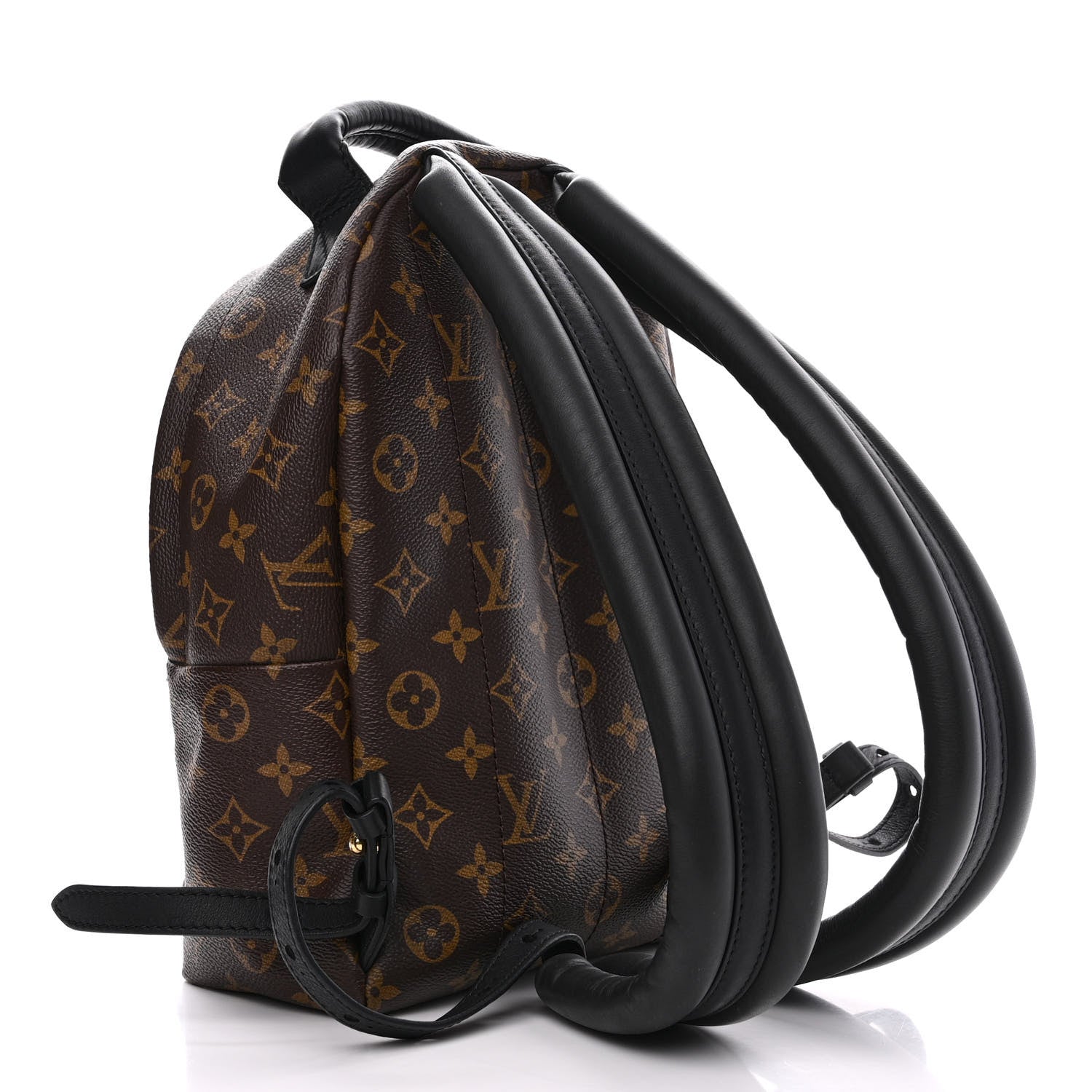 Louis Vuitton Monogram Palm Springs Backpack PM 3 of 12