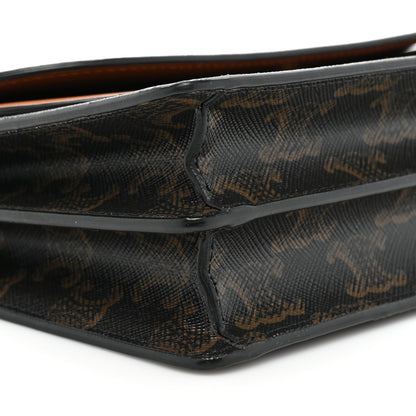 Celine Triomphe Canvas Lambskin Wallet On Strap Tan 11 of 14