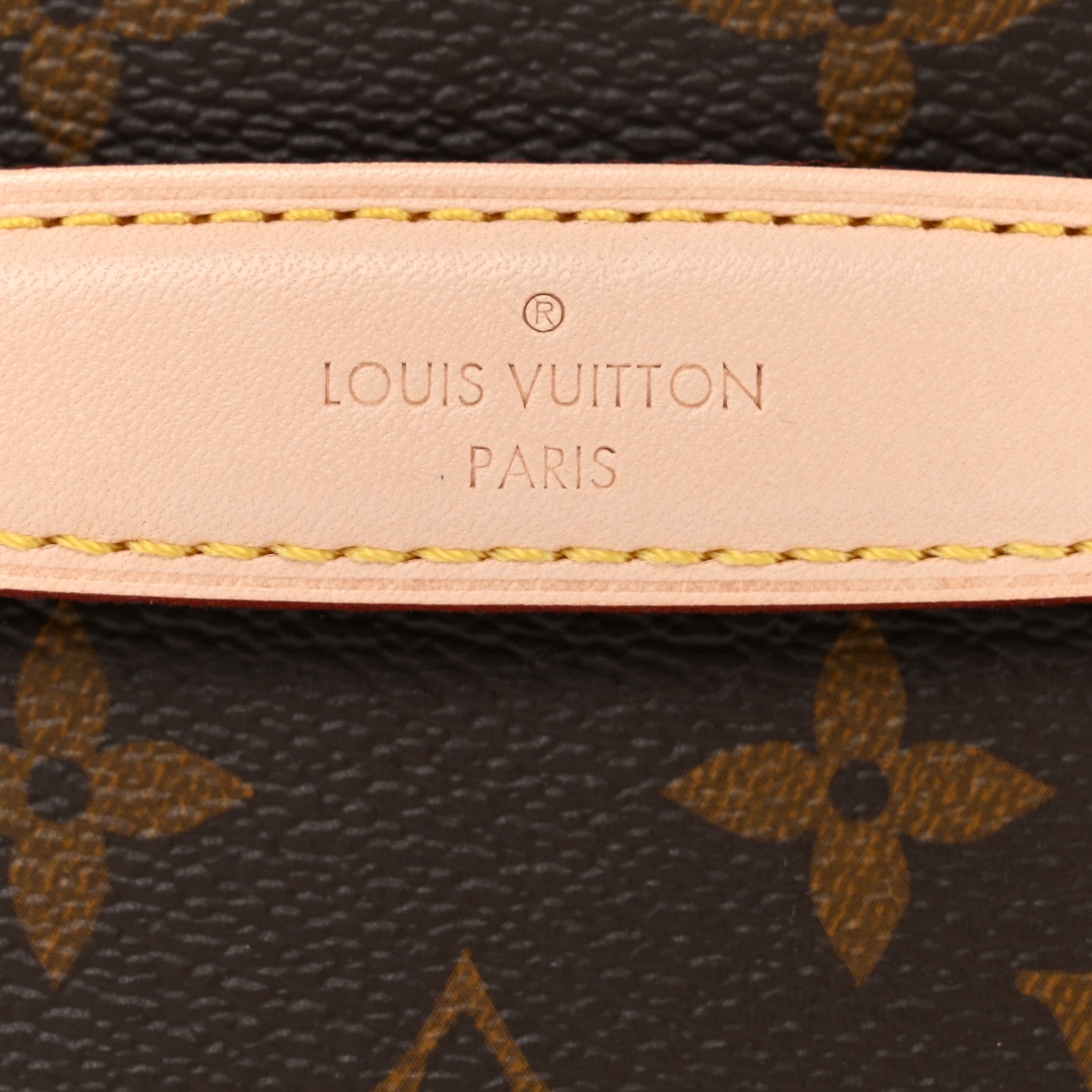 Louis Vuitton Monogram Nice Mini 7 of 8
