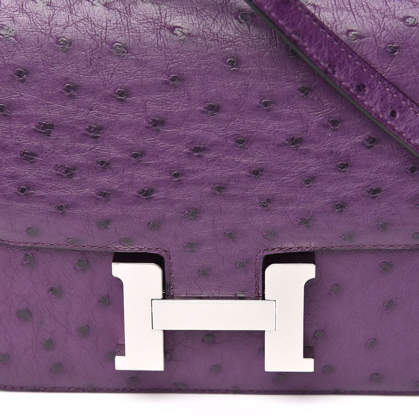 Ostrich Constance 18 Violine