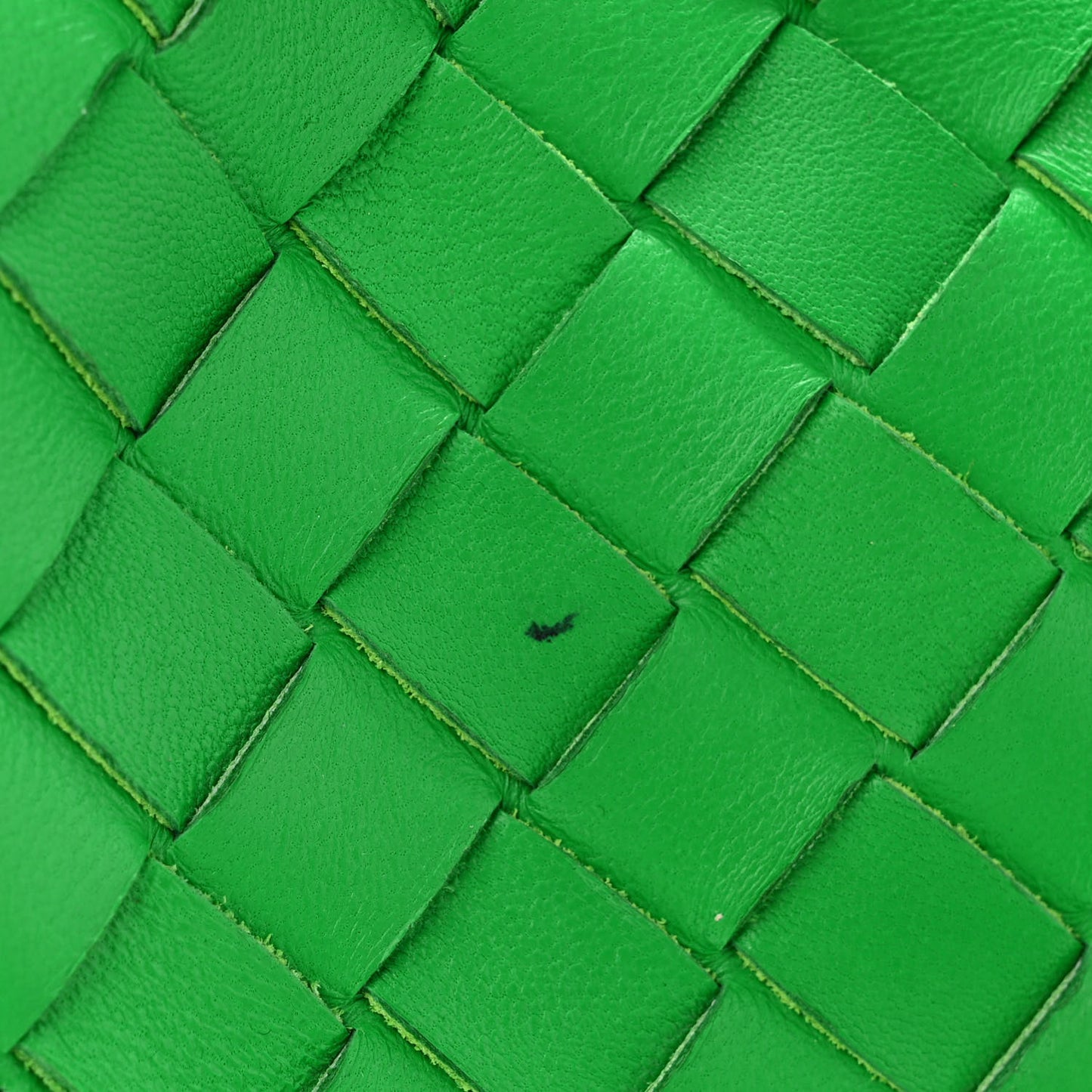 Nappa Intrecciato Mini Loop Camera Bag Parakeet