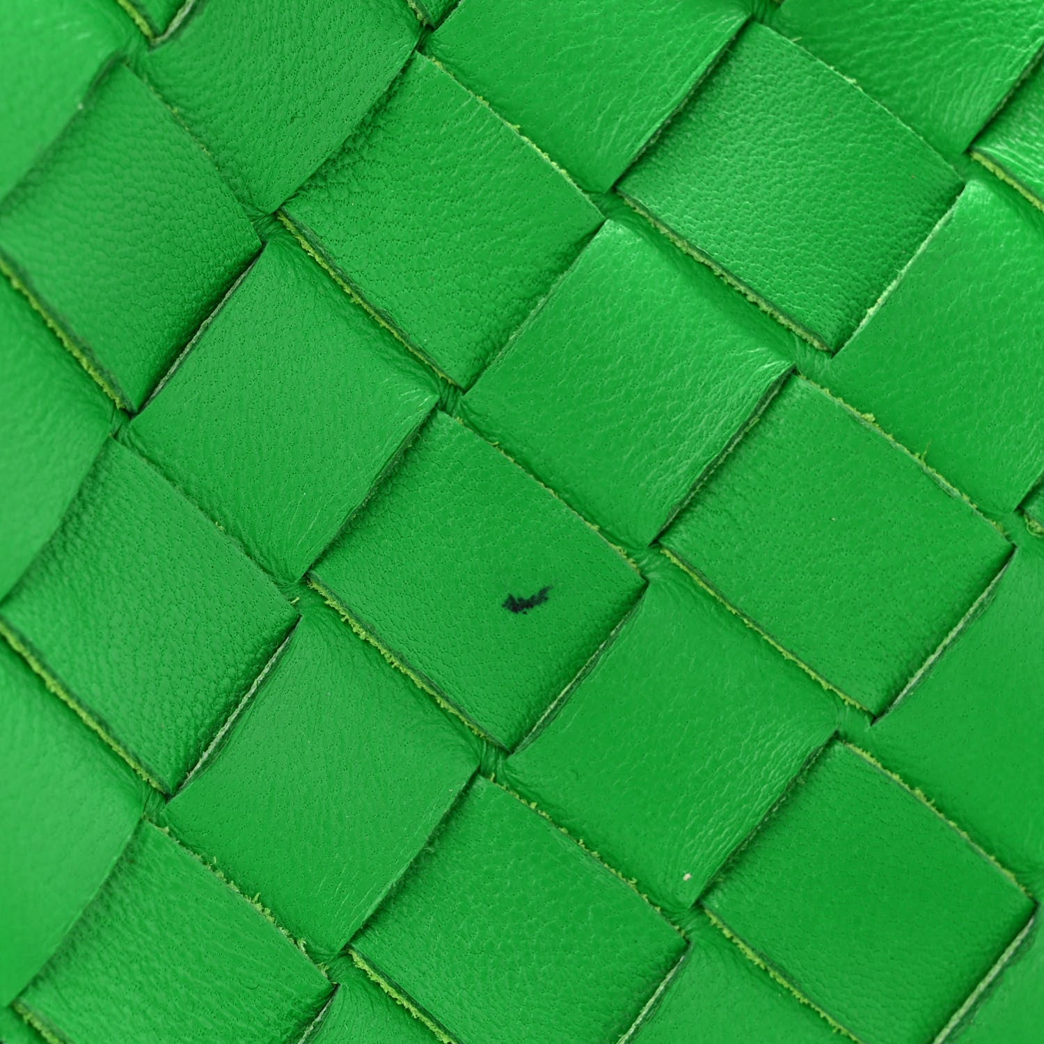 Bottega Veneta Nappa Intrecciato Mini Loop Camera Bag Parakeet 10 of 11