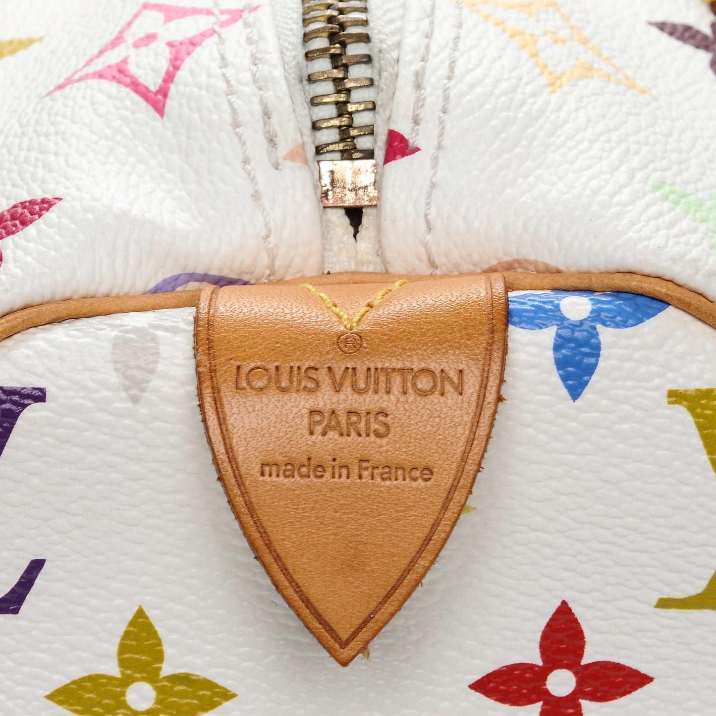 Monogram Multicolor Speedy 30 White