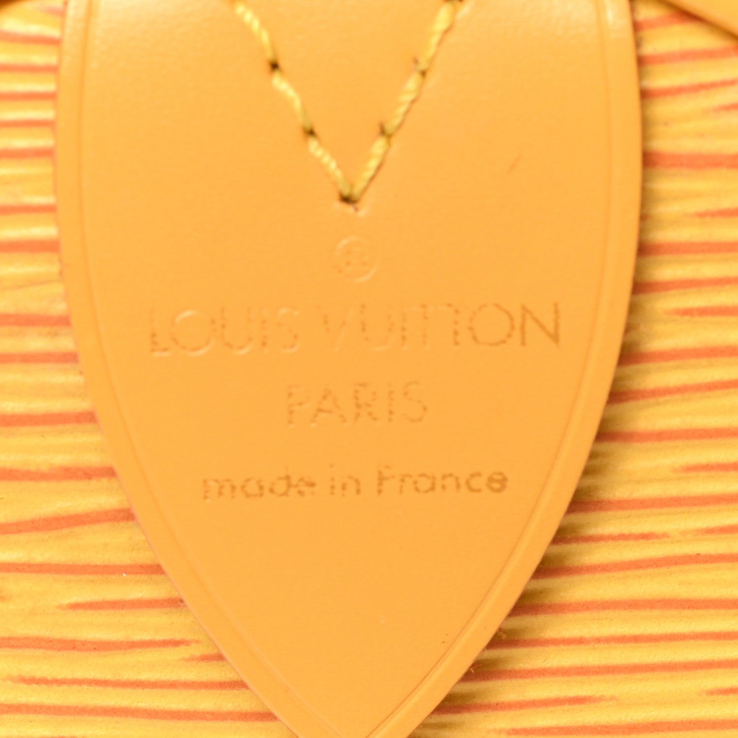 Louis Vuitton Epi Speedy 25 Tassil 6 of 12