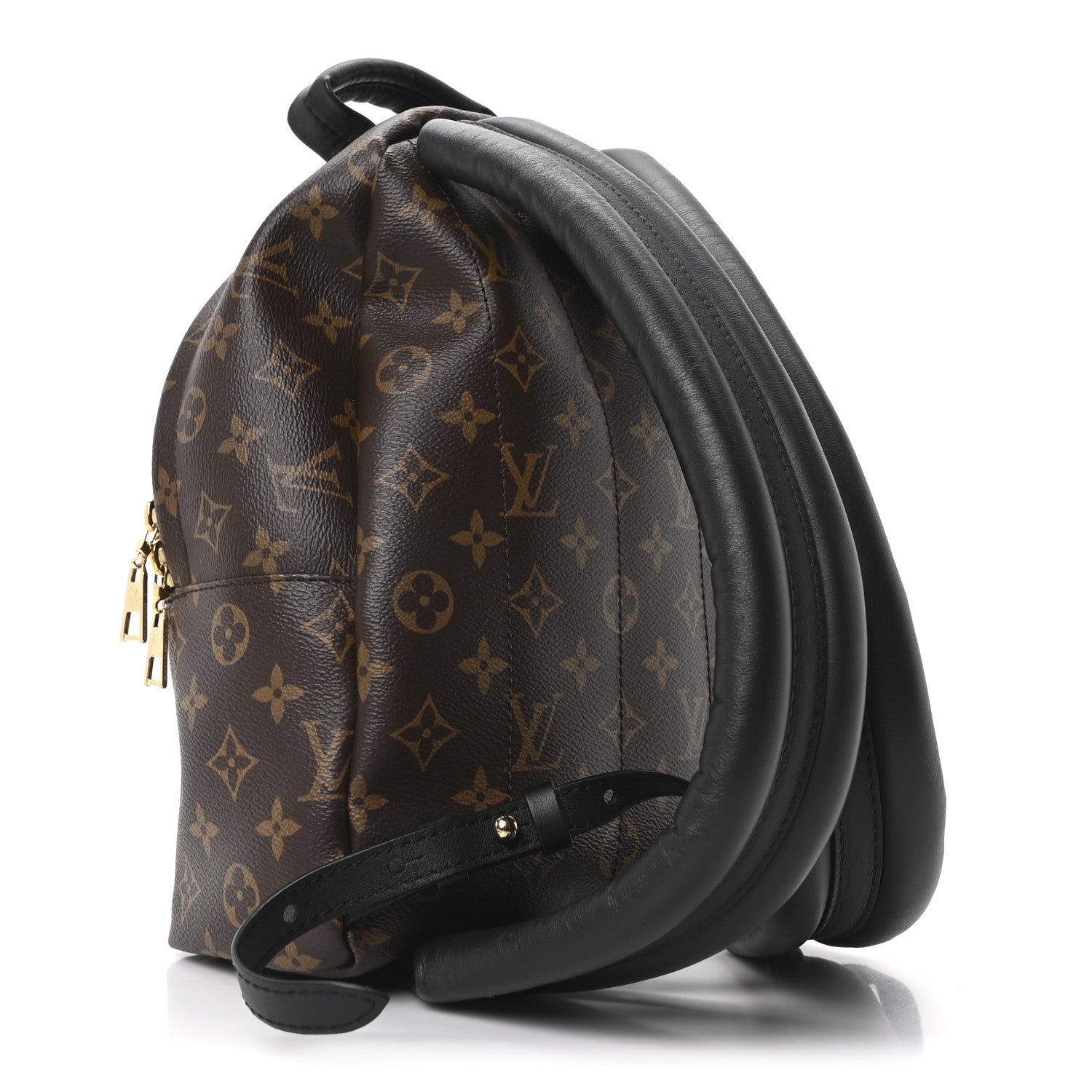 Louis Vuitton Monogram Palm Springs Backpack PM 3 of 9