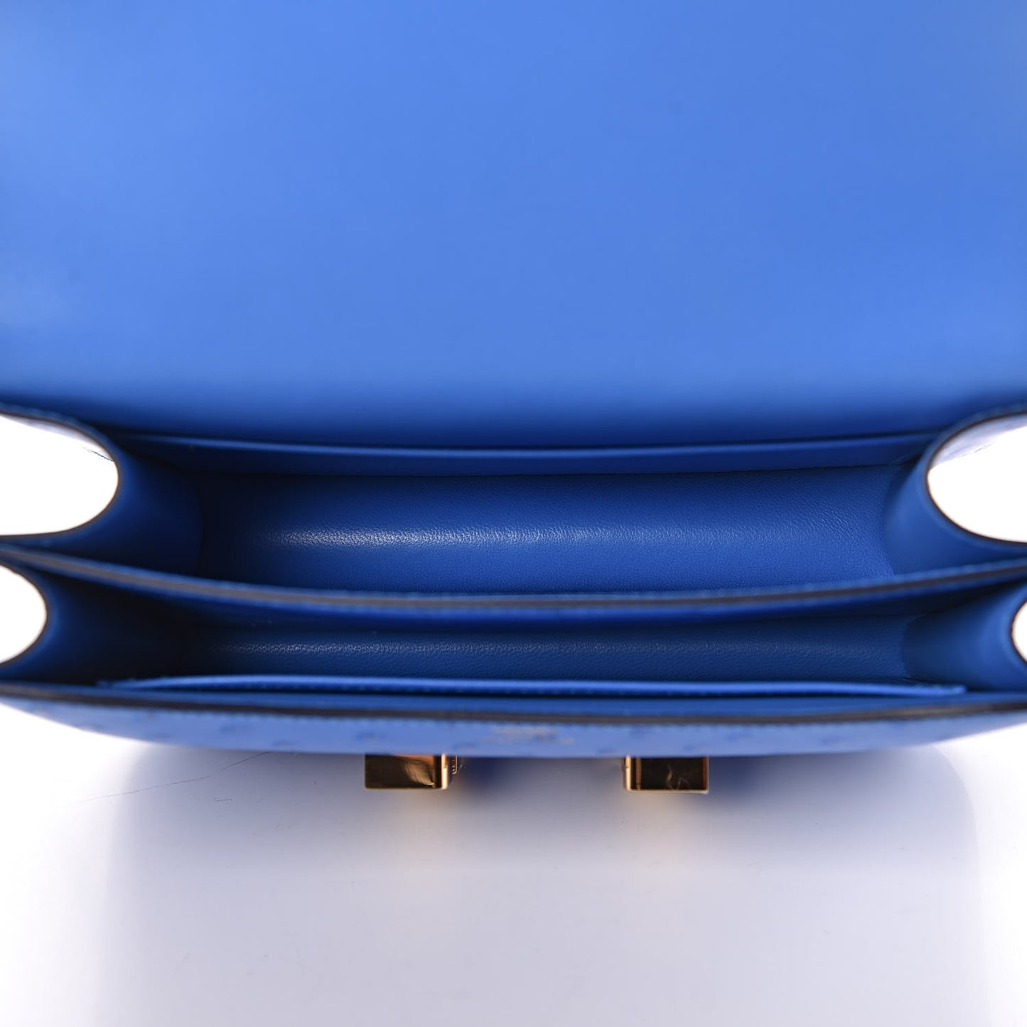 Ostrich Constance 18 Bleuet