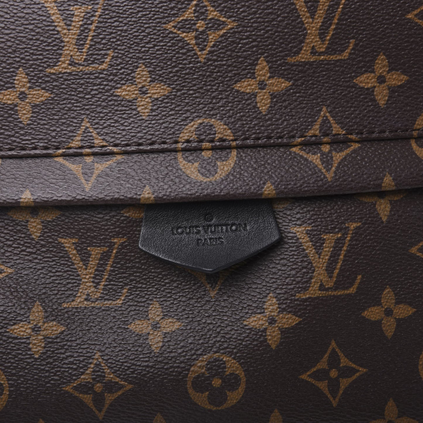 Monogram Palm Springs Backpack MM
