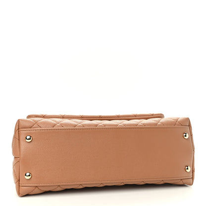 Chanel Caviar Quilted Lizard Embossed Small Coco Handle Flap Brown 4 of 9