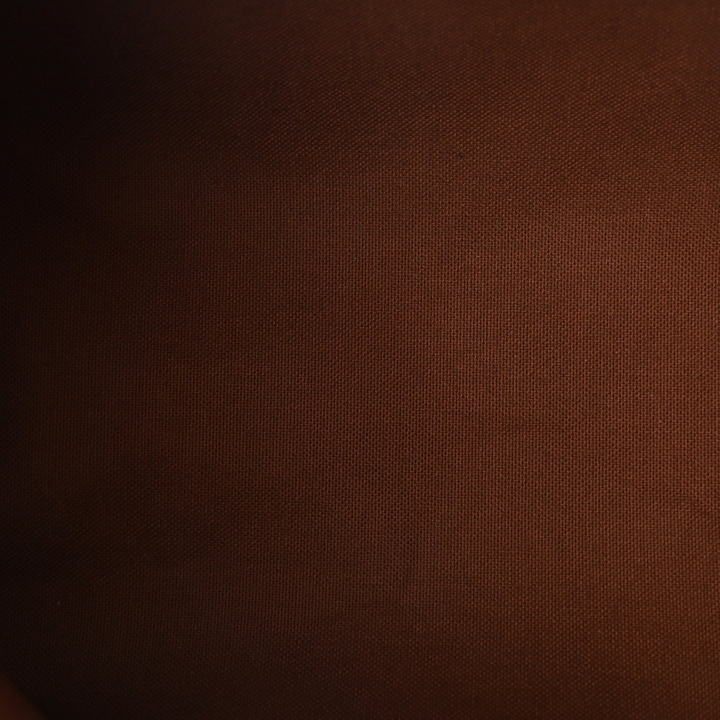 Monogram Speedy Bandouliere 25