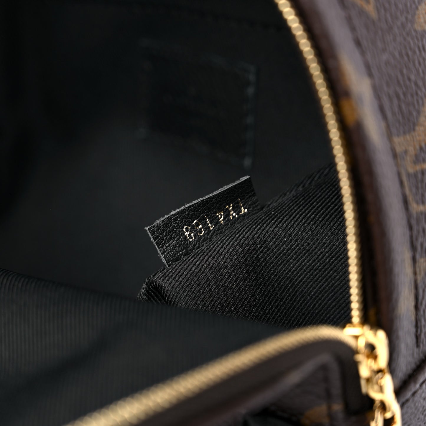 Monogram Palm Springs Backpack Mini