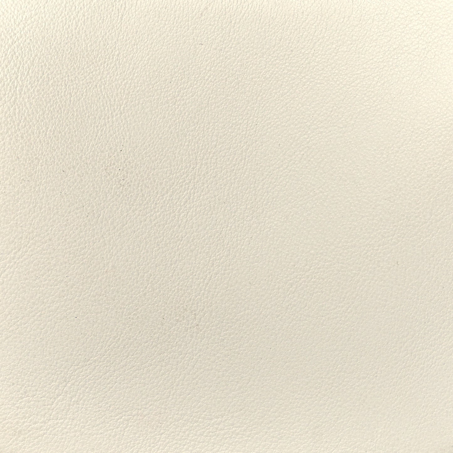Vitello Grace Matte Nano Fendigraphy Hobo Charm White Ice