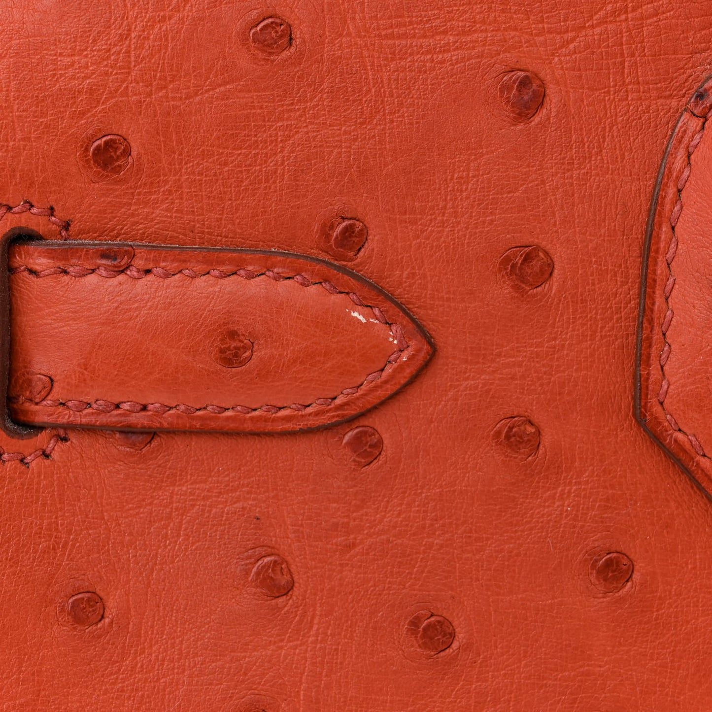 Ostrich Birkin 30 Brique