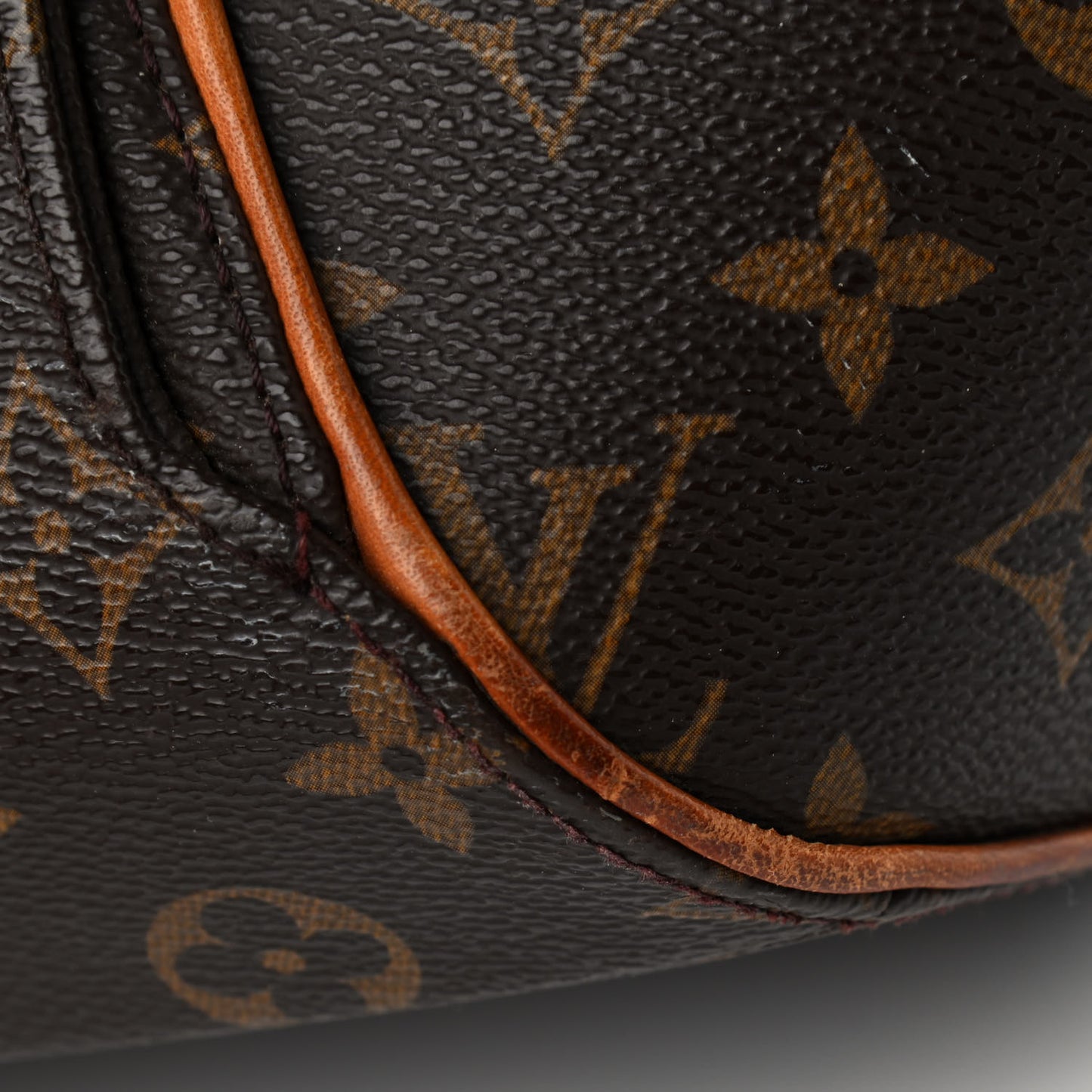 Monogram Ellipse GM Shopping Bag