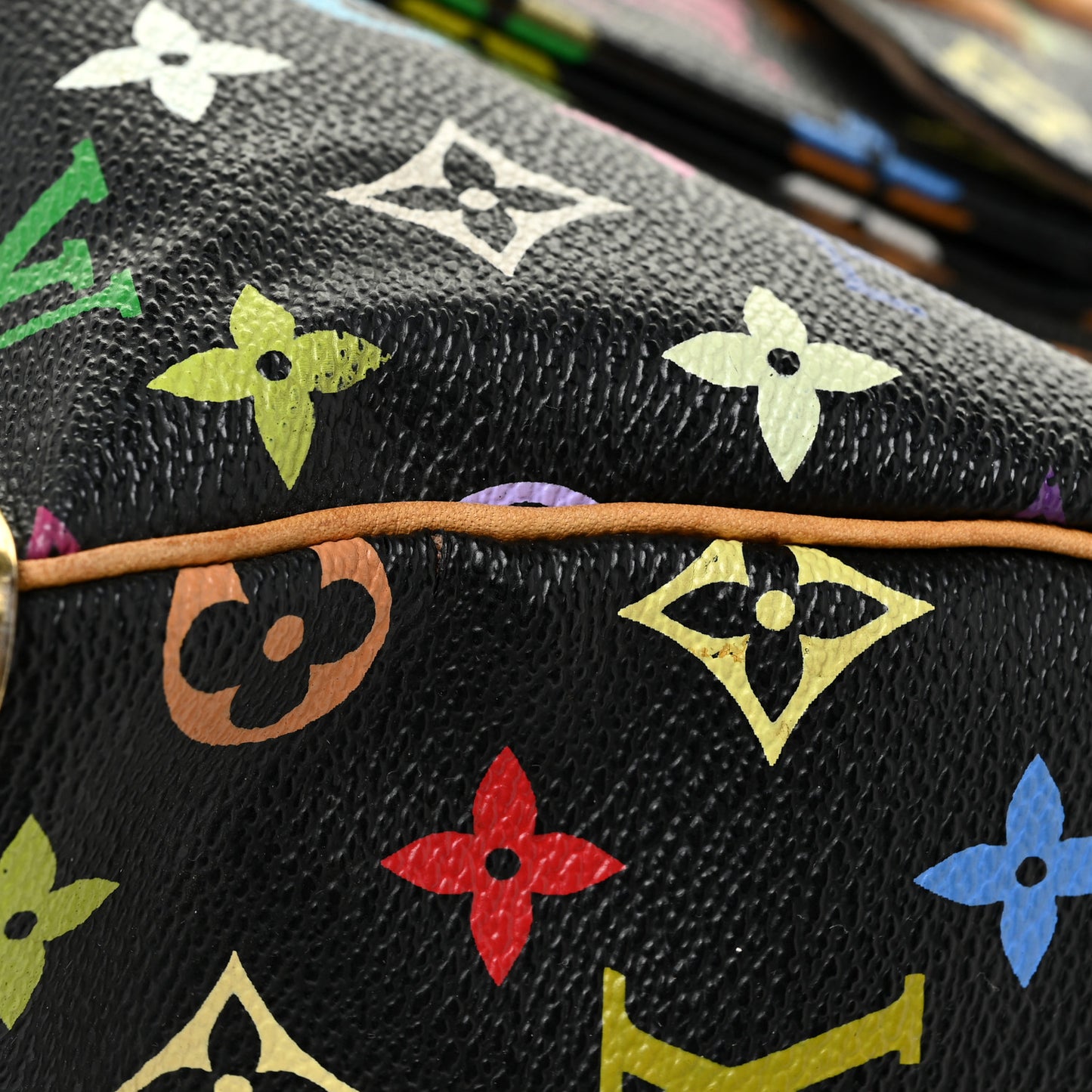 Monogram Multicolor Speedy 30 Black
