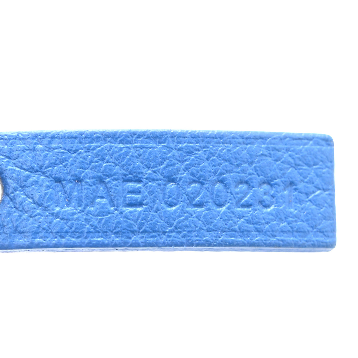 Goyardine Reversible Mini Anjou Sky Blue