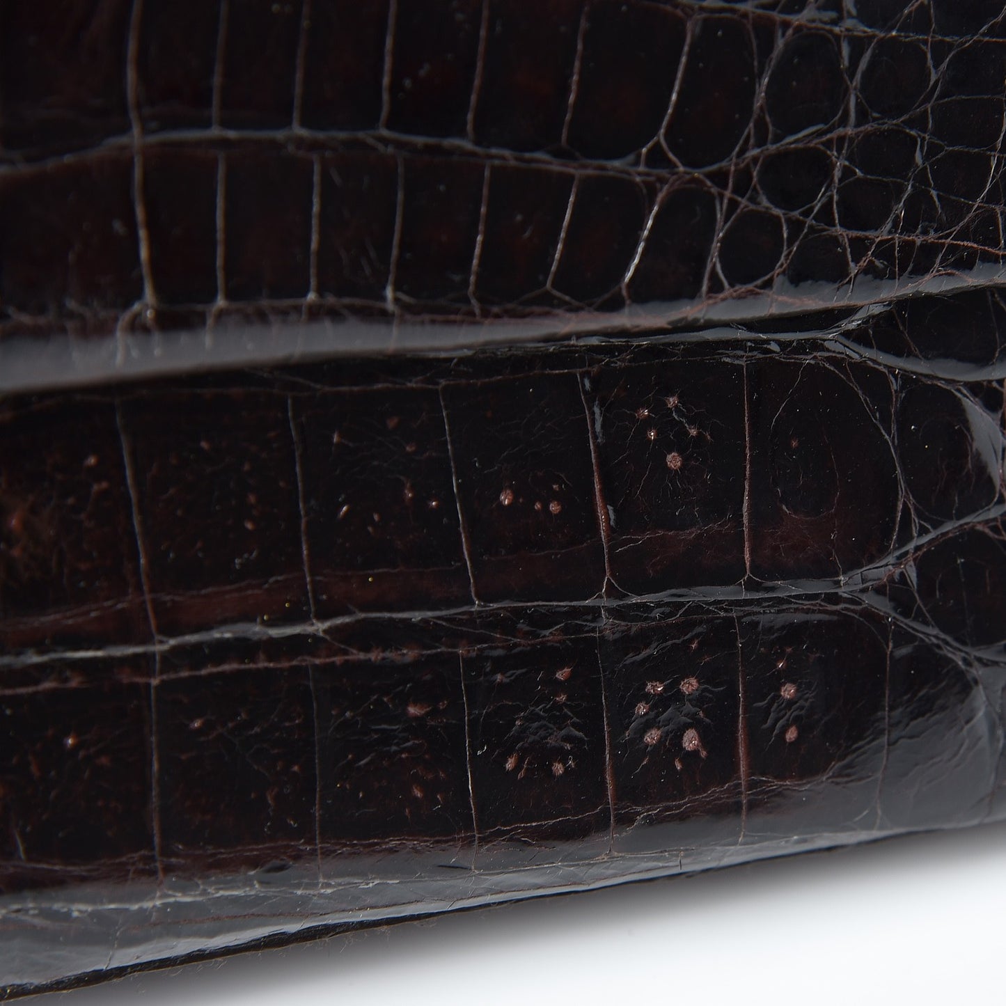 Glossy Crocodile Foldover Clutch Brown