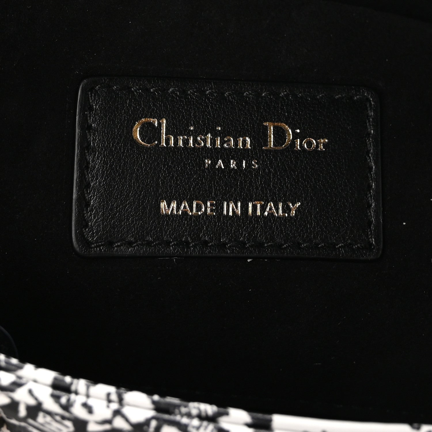 Christian Dior Calfskin Plan De Paris Printed Lady D-Joy White Black 5 of 10