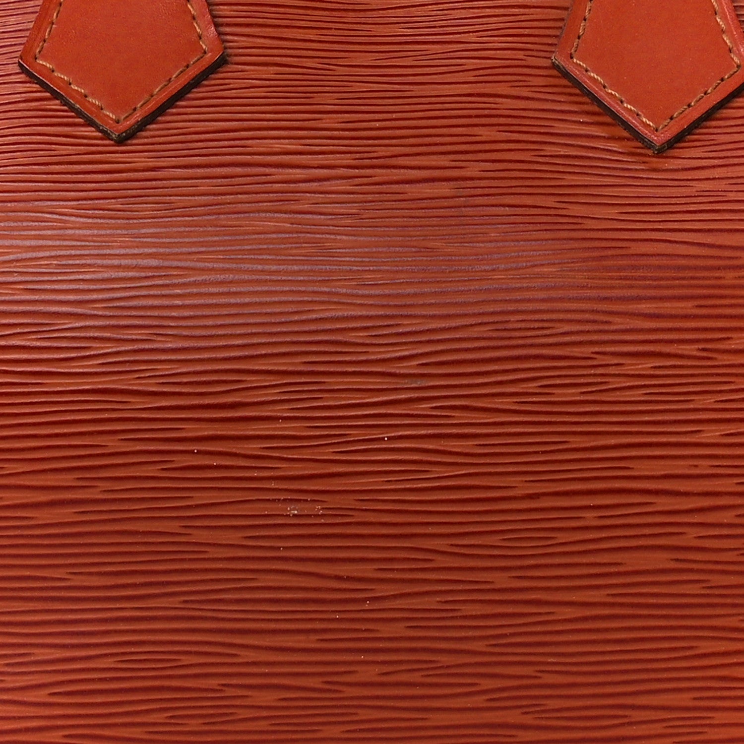 Louis Vuitton Epi Speedy 25 Kenyan Fawn 11 of 15