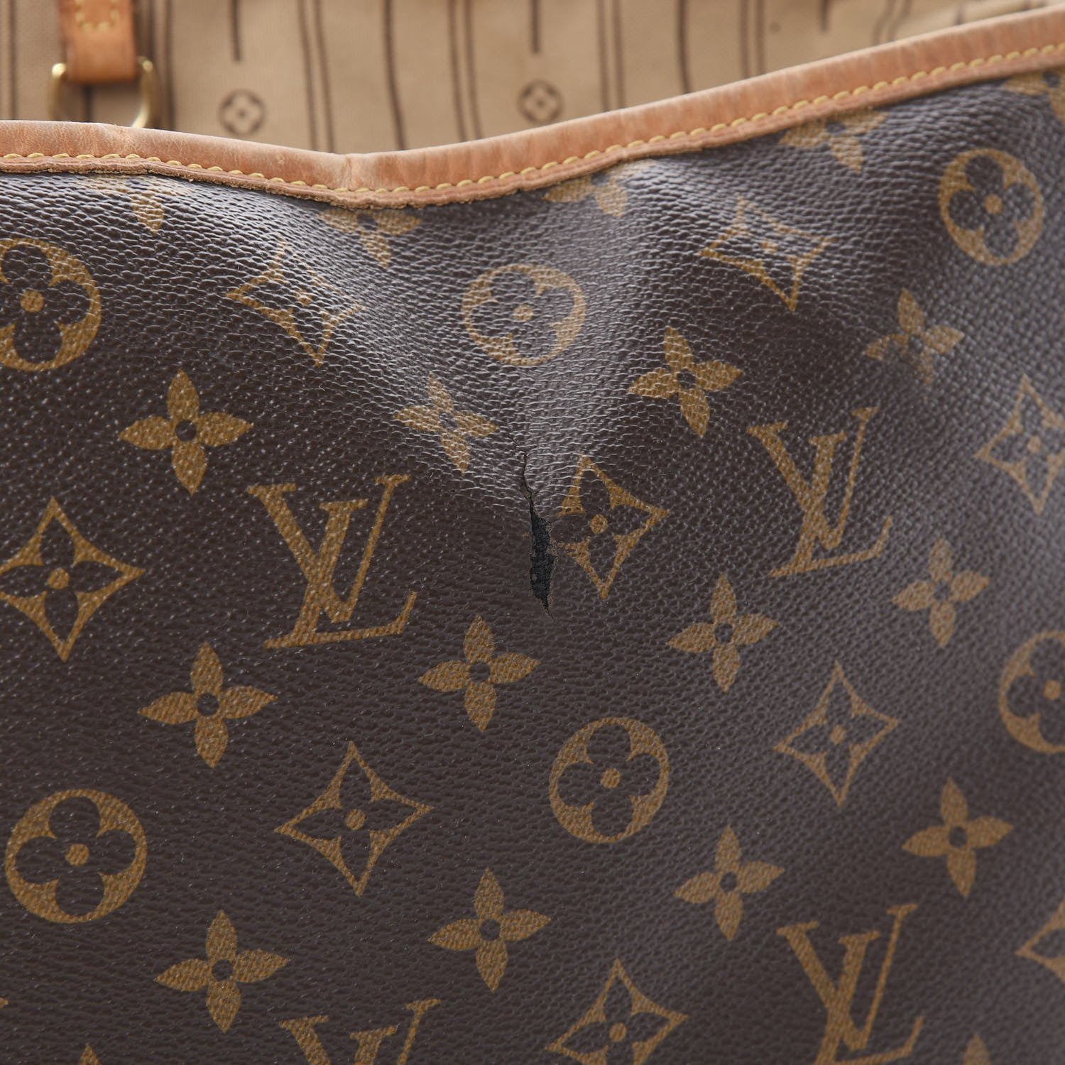 Louis Vuitton Monogram Delightful PM 18 of 23