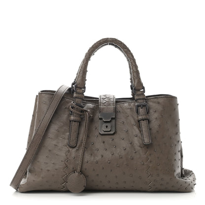 Bottega Veneta Ostrich Small Roma Tote Brown 1 of 12