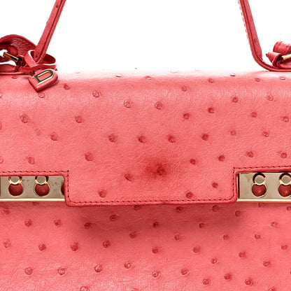 Delvaux Ostrich MM Tempete Satchel Pink 7 of 9